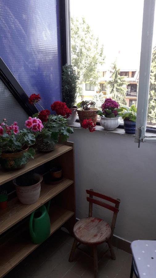 אגר Annika Apartman מראה חיצוני תמונה